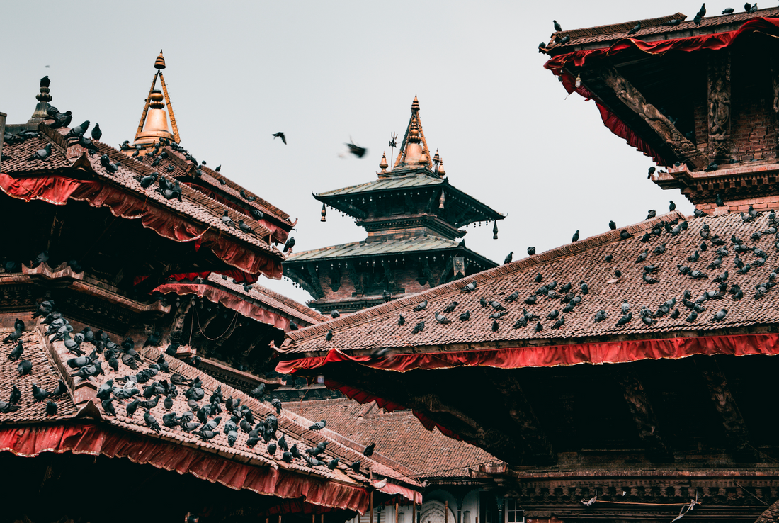 We support Nepal!