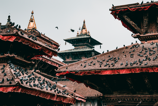 We support Nepal!